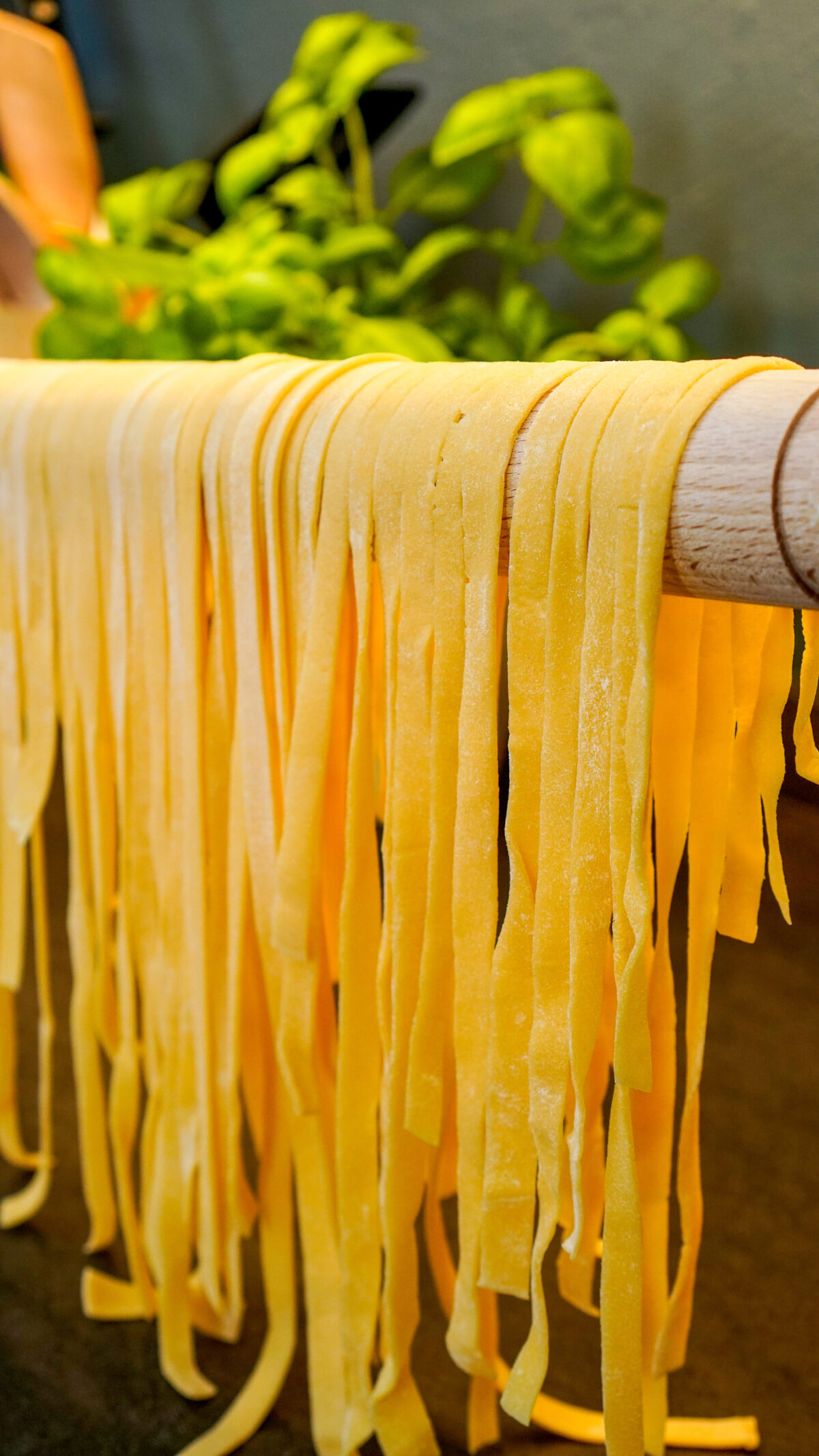 Selbstgemachte Nudeln mit Salbeibutter - Thomas kocht - der Kochkanal ... Selbstgemachte Nudeln mit Salbeibutter - Thomas kocht - der Kochkanal ...