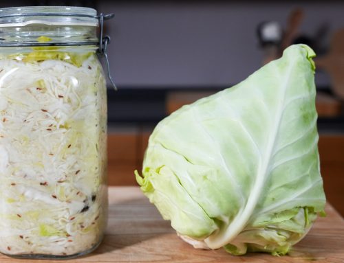 Sauerkraut selber machen – fermentieren & richtig kochen